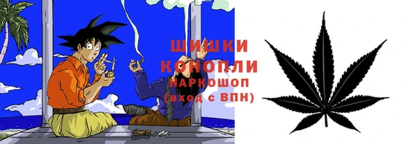 дурь Бронницы