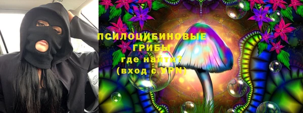 гидра Богородск