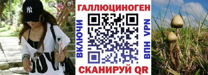 купить закладку  KRAKEN ссылки  Галлюциногенные грибы Psilocybine cubensis  Горняк 